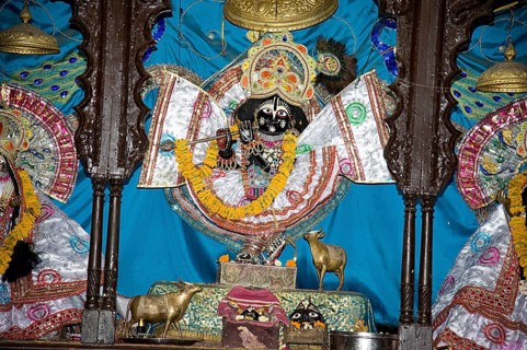 Statue radha gopinath ji temple, vrindavan, uttar pradesh, india, asia