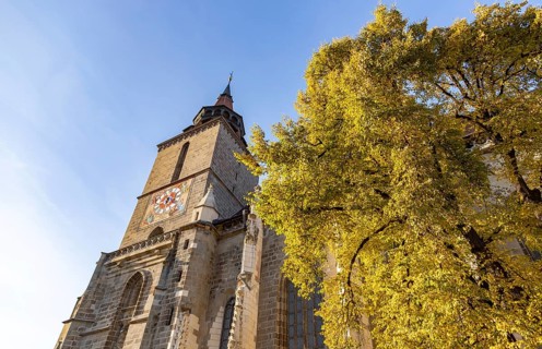 A picture of The Black Church tower in the fall