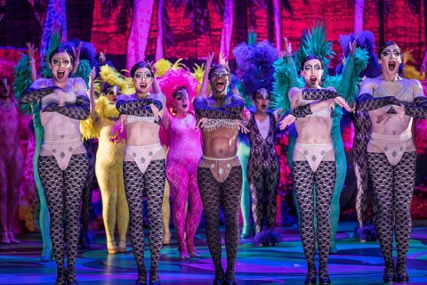 La Cage Aux Folles (A Cage Full of Fools)