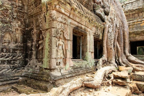 Ta Prohm temple complex near Angkor Wat in Cambodia