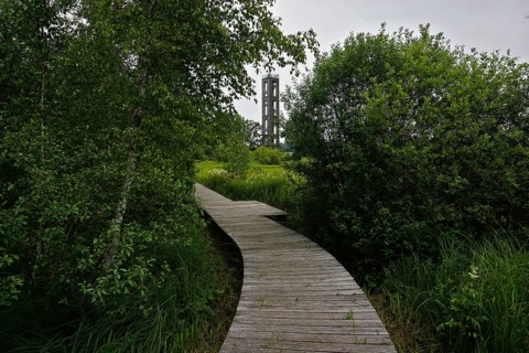 Bannwaldturm im Pfrunger-Burgweiler Ried in Oberschwaben, Baden-Württemberg, protected forest tower