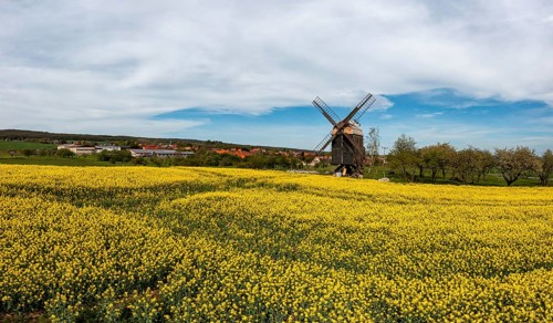 Aerial photographs district Harz Mühle Sargstedt