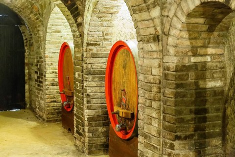 Wine cellar with wine barrels