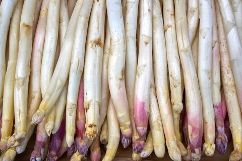 Asparagus in a row stacked in outdoor market