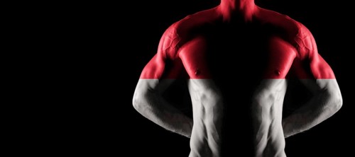Monaco flag on muscled male torso with abs, black background