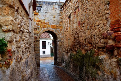 Zamora door of Dona Urraca in Spain by the via de la Plata way of Saint James
