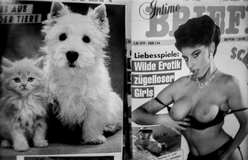 Germany, Berlin, 14/02/1992, Magazine kiosk in the underground station (Leopoldplatz), dog, cat and