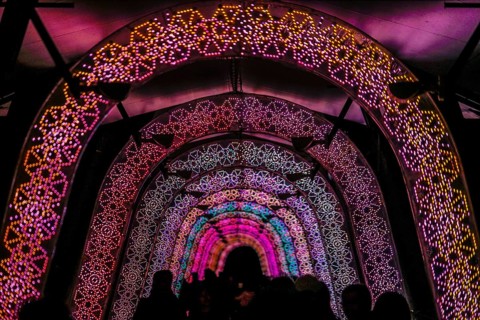 Light of the tunnel (Christmas illuminations). Shooting Location: Tokyo metropolitan area