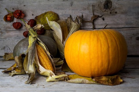 Happy Thanksgiving Day, Decoration on a wooden table with Pumpkins, Corncob and autumn leaves