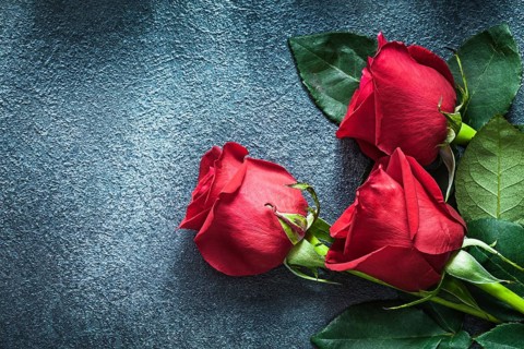 Bunch of red roses on black background celebrations concept