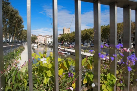 Market day in French Narbonne with flowers from the bridge