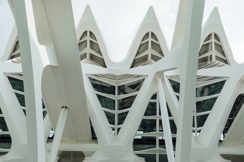 Valencia, Spain, July 30, 2023: Museum of Sciences Prince Philip in the City of Arts and Science.