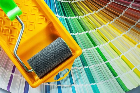 Paint roller tray color sampler on white background