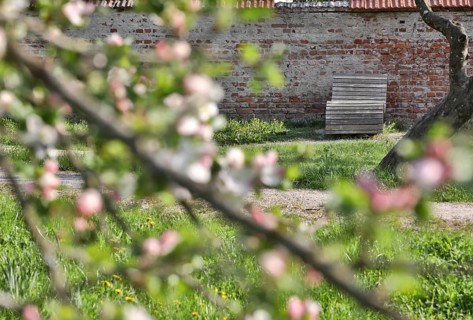 Wooden outdoor lounger on a historic wall, green meadow and blossoming fruit tree branches in