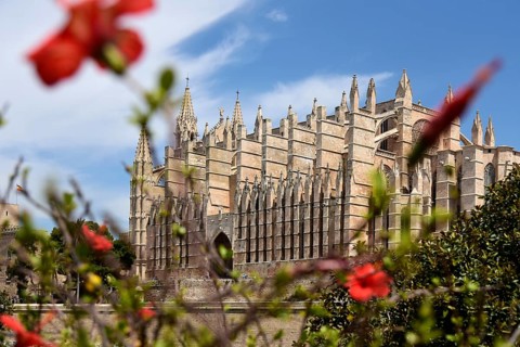 Red flowers in front of La Seu Cathedral, Old Town, Ciutat Antiga, Palma de Majorca, Majorca,