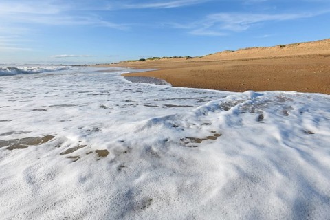 Sea foam on the beautiful sand Atlantic ocean beach in France