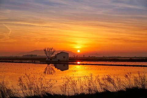 Delta del Ebro Ebre sunset in Deltebre of Tarragona at Catalonia spain