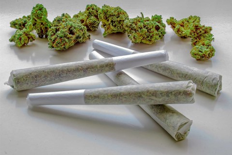 Several Pre-Rolls of Medicinal Cannabis with Flower Cannabis on the background