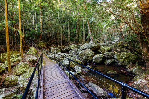 Kondalilla Falls Circuit at Kondalilla Falls in Kondalilla National Park on a warm sunny winter's