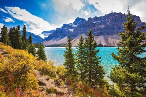 Canadian Rockies, Banff National Park. Amazing mountain glacial Bow Lake with emerald water. The