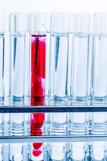 Many test tubes during an experiment in a university research laboratory. Symbolic photo for