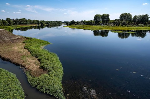 Natural bank of the Loire River near Nevers, Nievre department, Bourgogne-Franche-Comte, France,