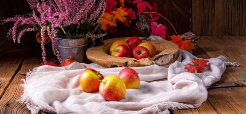 Malus sylvestris, der leckere europäische Krabbenapfel