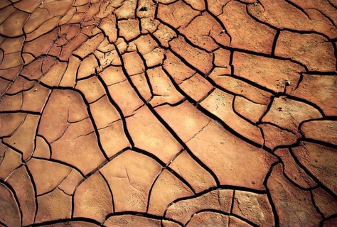 Brown sludge, cracked on earth, drought