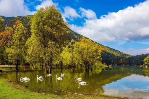 Lake Lago de Fusine. Laghi di Fusine, Tarvisio, Province of Udine. Magnificent lake in Northern