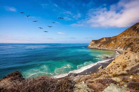 In the sky flies a flock of cranes. The scenic road passes over the ocean bay with emerald water.