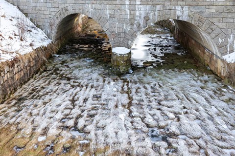 Frozen Oder Pond Harz National Park