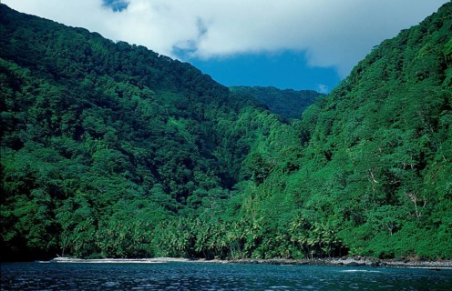 Cocos Island, Costa Rica, South America, Central America