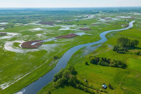 Biebrza National Park, photo with drone, wetland, river, Poland, Europe