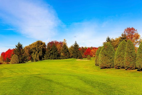 Canada, province of Quebec. The road from Montreal to Bromont. Green lawns, trees with green,