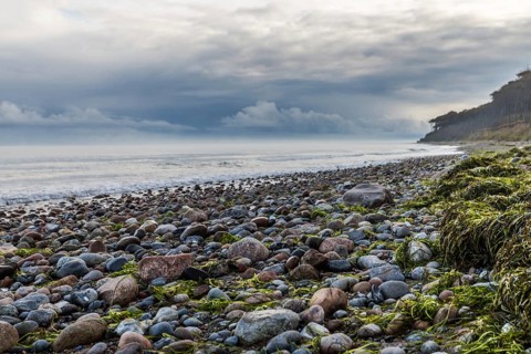 Baltic Sea beach