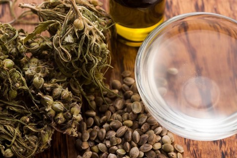 Cannabis extract with leaves