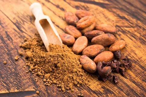 Cacao beans and cacao powder in spoon
