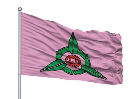 Tarragona City Flag On Flagpole, Country Spain, Isolated On White Background