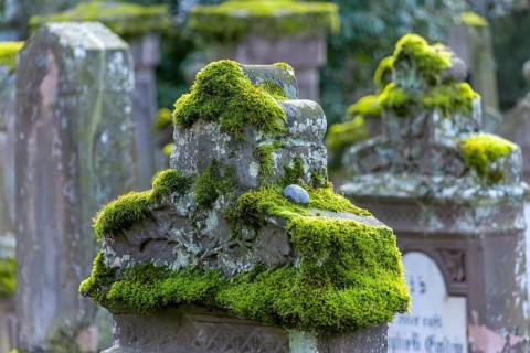 Jewish cemetery with gravestones and grave slabs with green moss, Bad-Buchau, Upper Swabia,