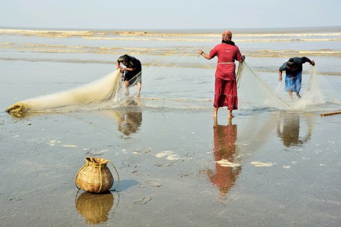 Fisher women at work, Kalagam Beach, Valsad, Gujarat, India, Asia