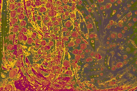 Air bubbles inside water base form patterns