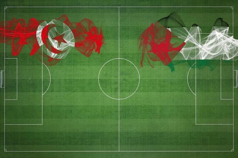 Tunisia vs Palestine Soccer Match, national colors, national flags, soccer field, football game,
