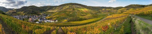 Hiking on the red wine trail in the Ahr valley with sunshine in autumn