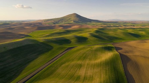 Steptoe Butte State Park is up there somewhere on top of the bluff surrounded by Palouse Country