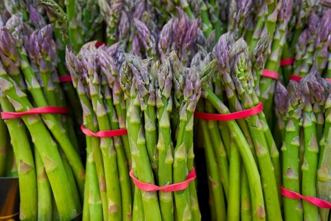 Asparagus green in a row at outdoor market