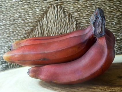 Red bananas on teak wood