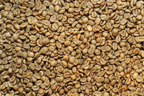 Coffee beans unroasted