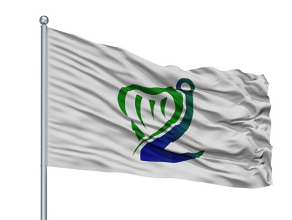 Coast Guard Ireland Flag On Flagpole, Isolated On White Background