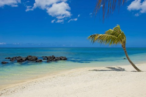 Mauritius beach landscape