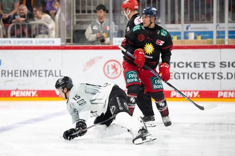 PSD Bank Dome, Düsseldorf, North Rhine-Westphalia, Louis- Marc Aubry (Koelner Haie, #15), PENNY